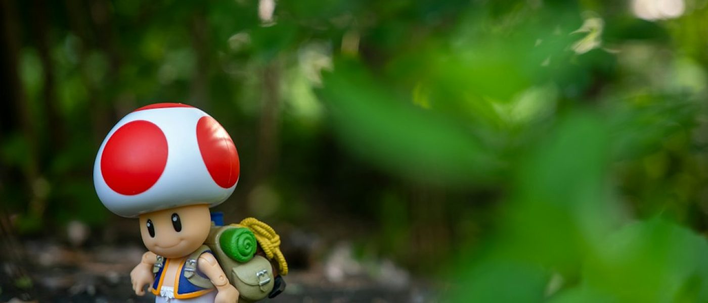 blog_8